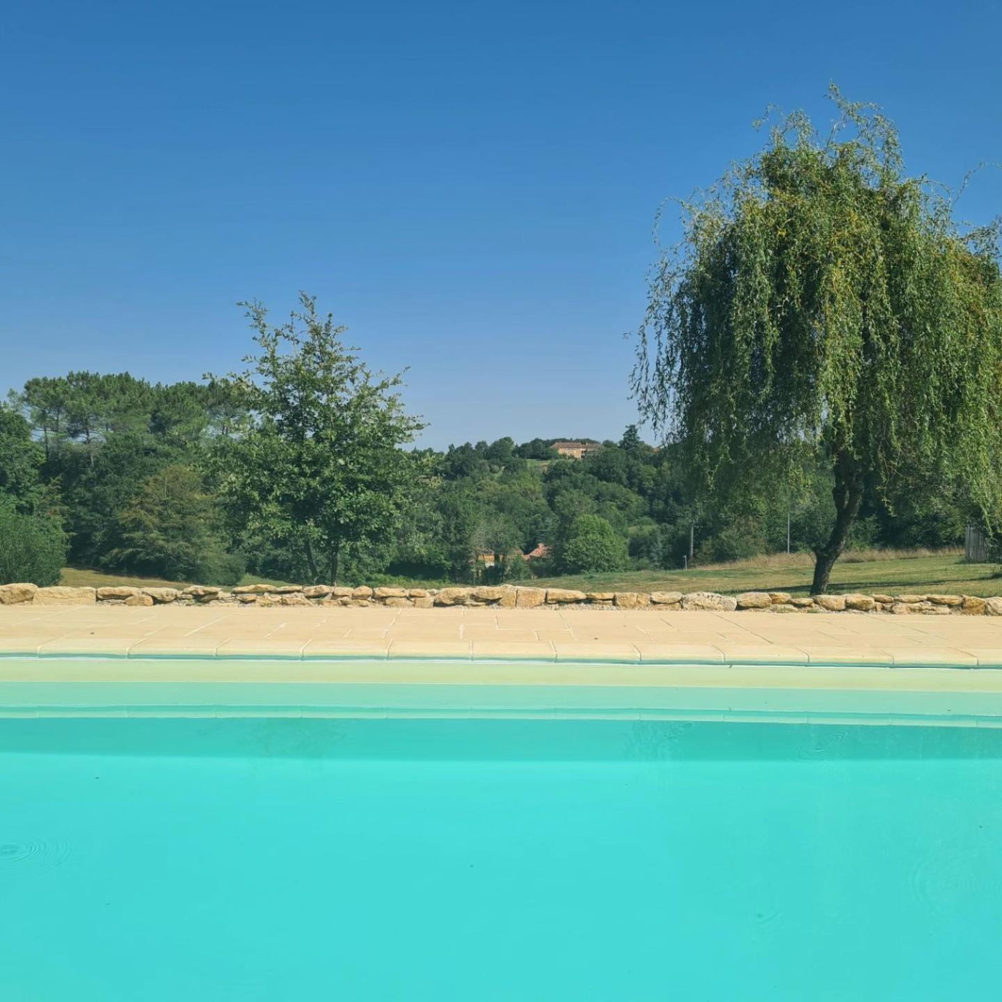 Larroque Haute Holiday home *